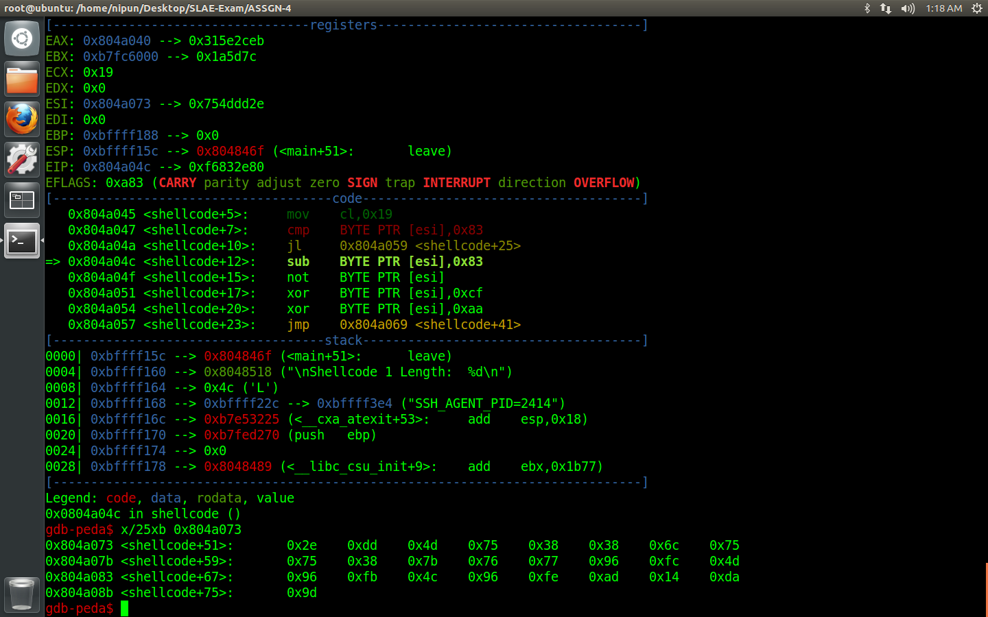 GDB view of the 25-byte encoded payload before RNX2 decoding begins